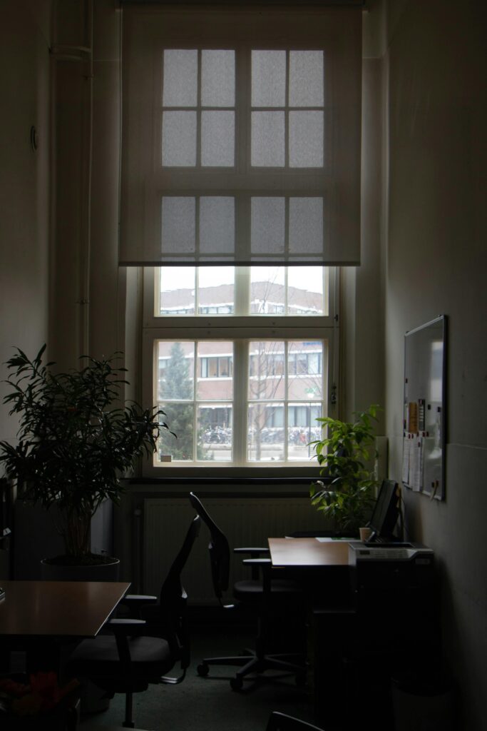 A quiet office space featuring desks, chairs, and indoor plants with a large window view.